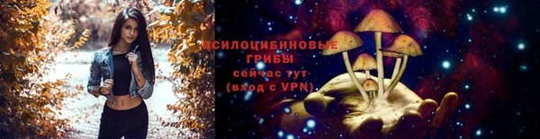 дживик Алзамай