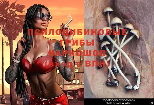 Альфа ПВП Алексин